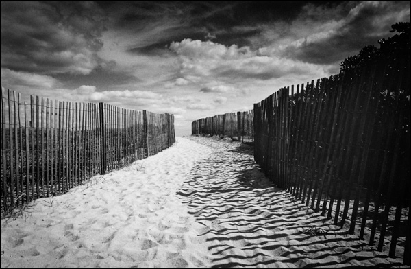 Beach Path